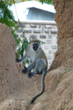 108_dsc00180_1200_v.jpg