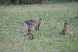 114_dsc_0124_1200.jpg