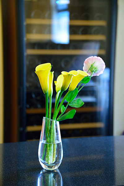 006_dsc_6138_800_v.jpg