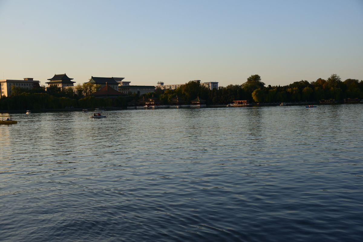 461_dsc_6645_1200.jpg