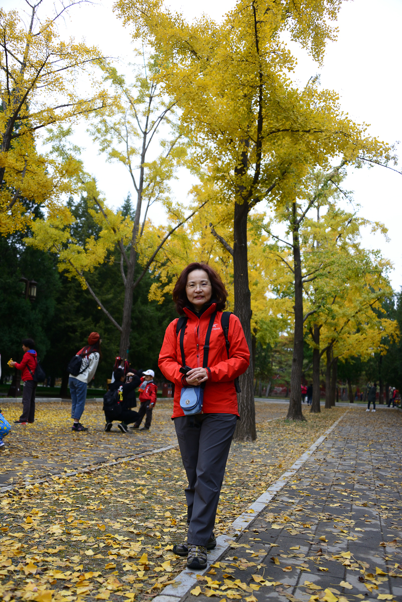 028_1911_DSC_7167_1200_v.jpg