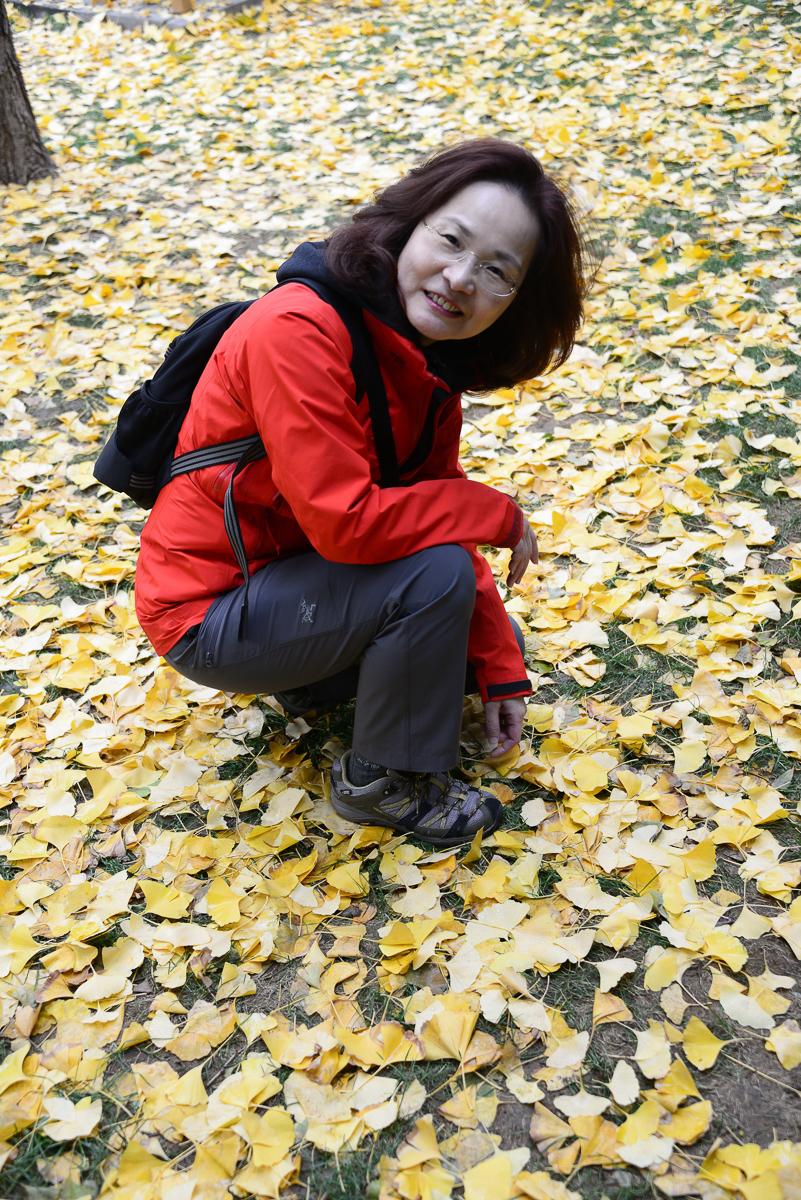 043_1911_DSC_7179_1200_v.jpg