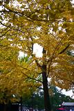 039_1911_DSC_7175_1200_v.jpg