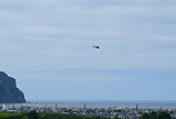 0090_2307_DSC_8891_1200.jpg