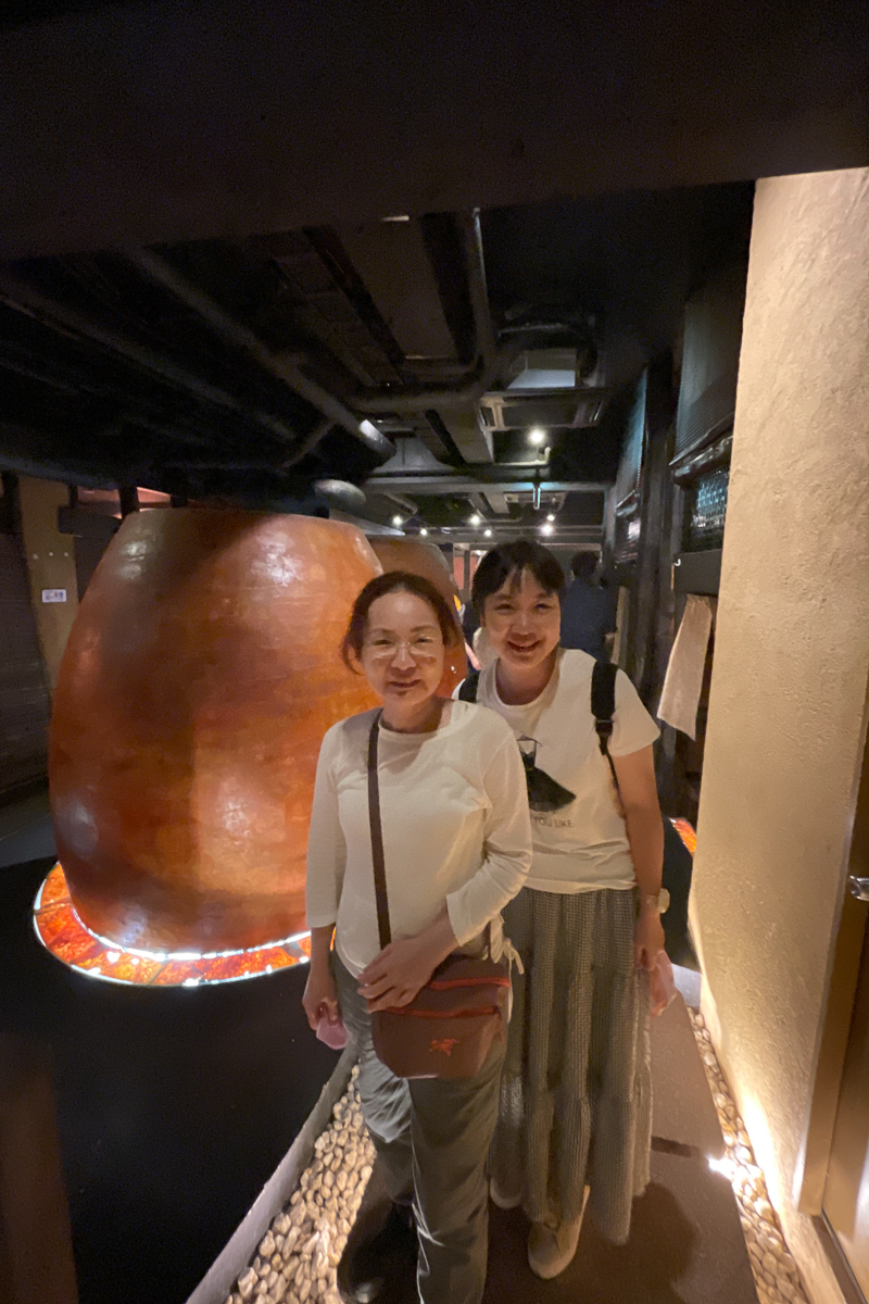 0954_2307_APC_0402_1200_v.jpg